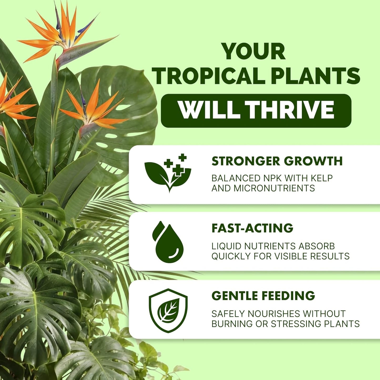 Skiennix Tropical Plant Fertilizer - Liquid Plant Food for Lush Growth & Stronger Roots, 8 oz