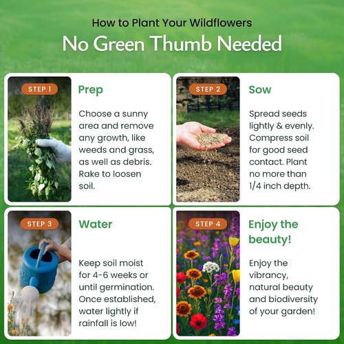 Created By Nature Wildflower Seed Mix - 20 Flower Varieties | 60,000+ Seeds for Vibrant Gardens