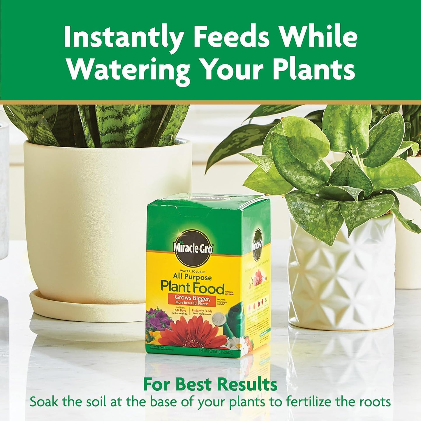 Miracle-Gro Water Soluble All-Purpose Plant Food - Fertilizer for Indoor & Outdoor Plants | 1.5 lbs