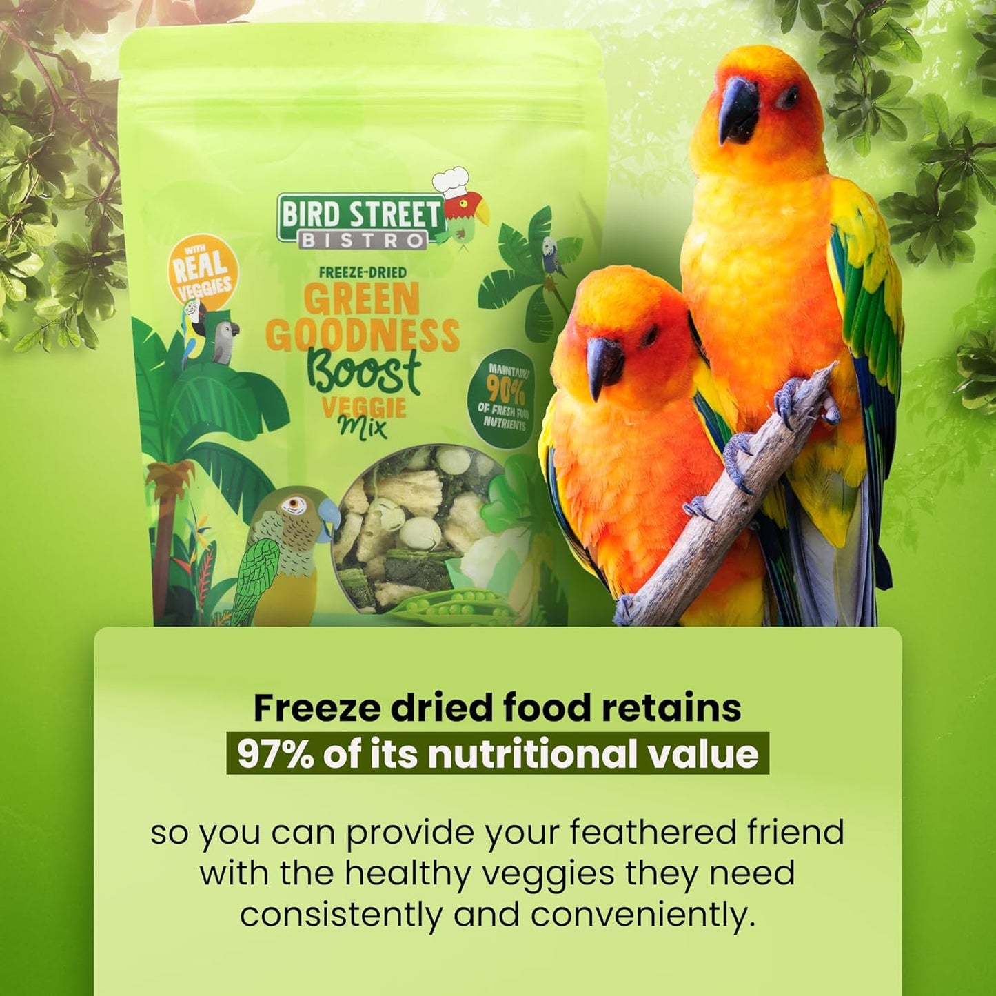 Skiennix Bird Treats - Nutritious Parrot & Cockatiel Food - Green Goodness Blend - 1 lb