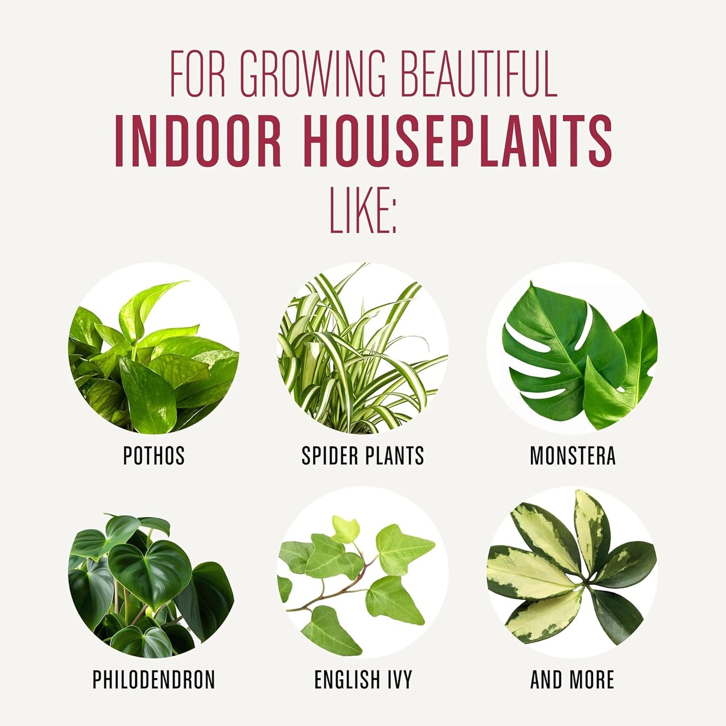 Miracle-Gro Houseplant Potting Mix - Fertilized Indoor Soil for Containers | Less Gnats, 4 Qt