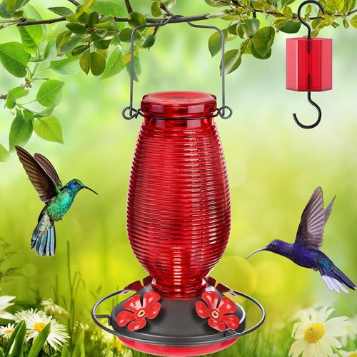 FEED GARDEN Glass Hummingbird Feeder - 16 Oz Purple & 20 Oz Red | Durable & Stylish Design