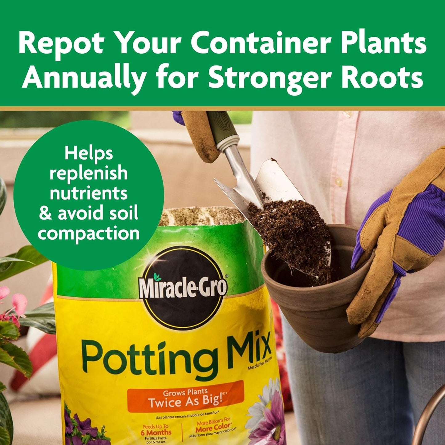Miracle-Gro Potting Mix - Nutrient-Rich Soil for Container Plants & Flowers | 8 Qt (2-Pack)