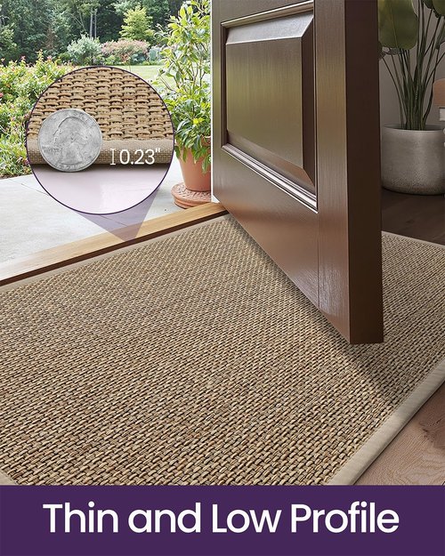 DEXI Ultra Thin Indoor Door Mat - Non-Slip Rubber Backing, Easy Clean Dirt Trapper | 24x36, Beige
