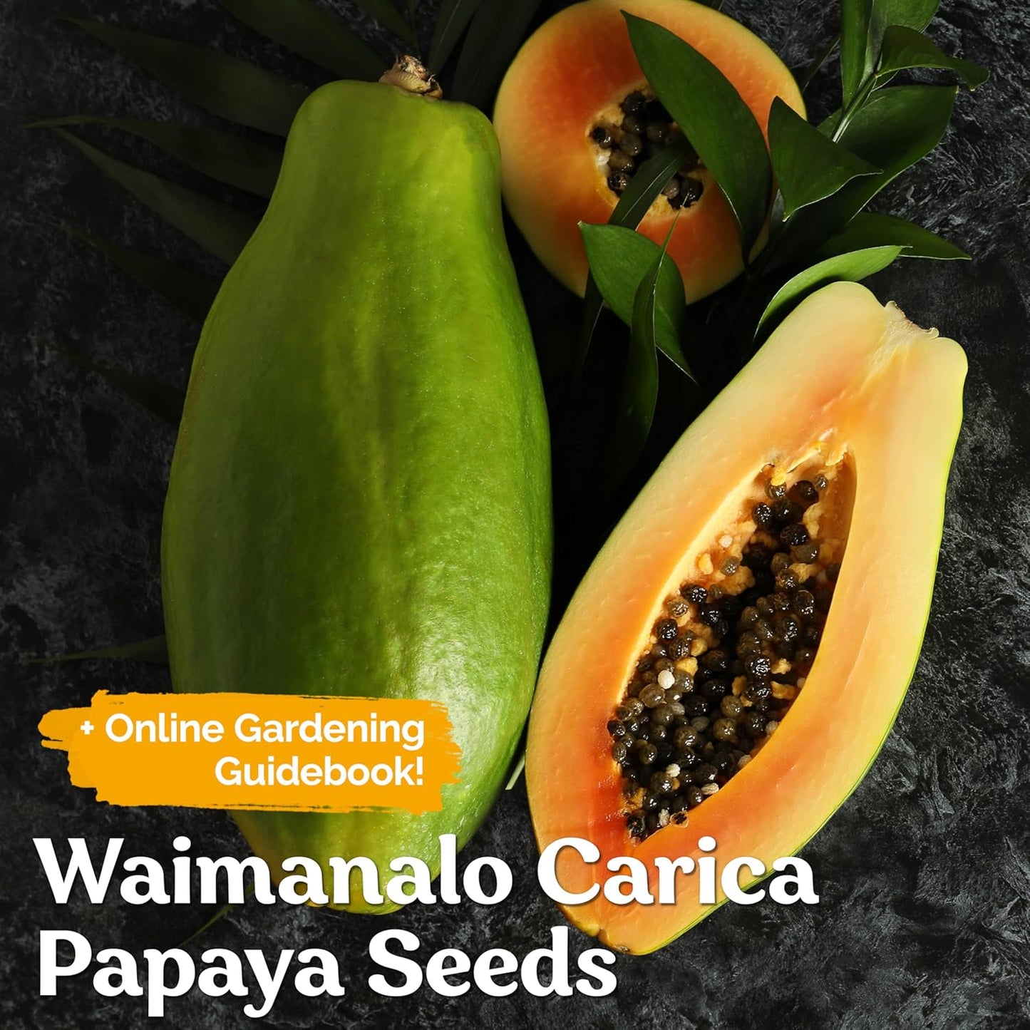 KVITER 20 Waimanalo Dwarf Papaya Seeds - Heirloom, Non-GMO, Fast-Bearing Organic Fruit Seeds for Indoor & Outdoor Gardens