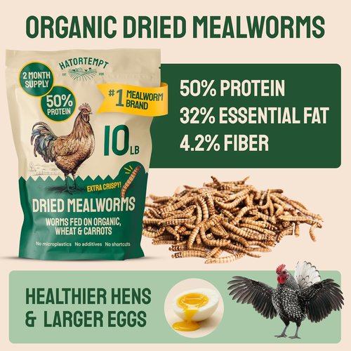Hatortempt Dried Mealworms - 10 Lb Non-GMO Bulk Feed for Chickens, Ducks & Wild Birds - High-Protein Nutrition