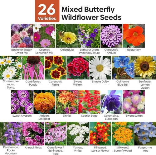 Groundio Wildflower Seeds - 100,000+ Bulk Seeds | 26 Variety Mix to Attract Pollinators - 1/4 lb