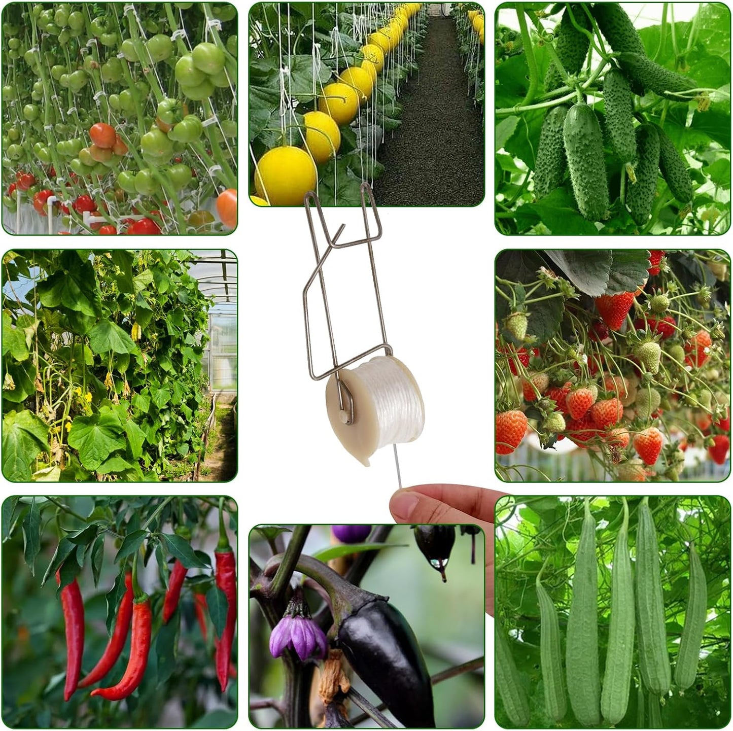 Skiennix Plant Climbing Hooks - 20pcs Tomato Support Hooks for Garden Vines & Flowers