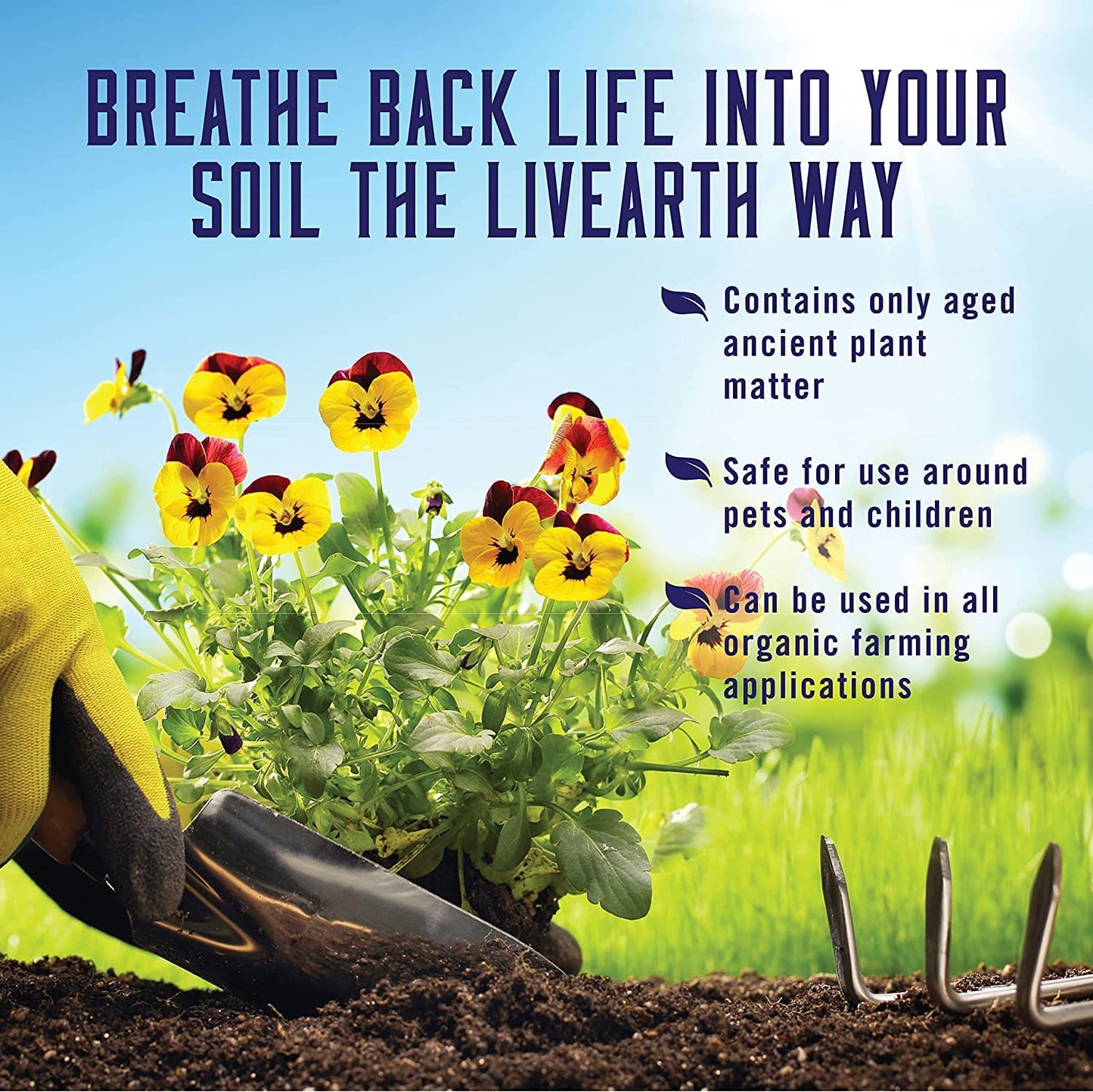 Liquid 6 - Premium Humic & Fulvic Acid for Soil Health | 1 Gallon Size