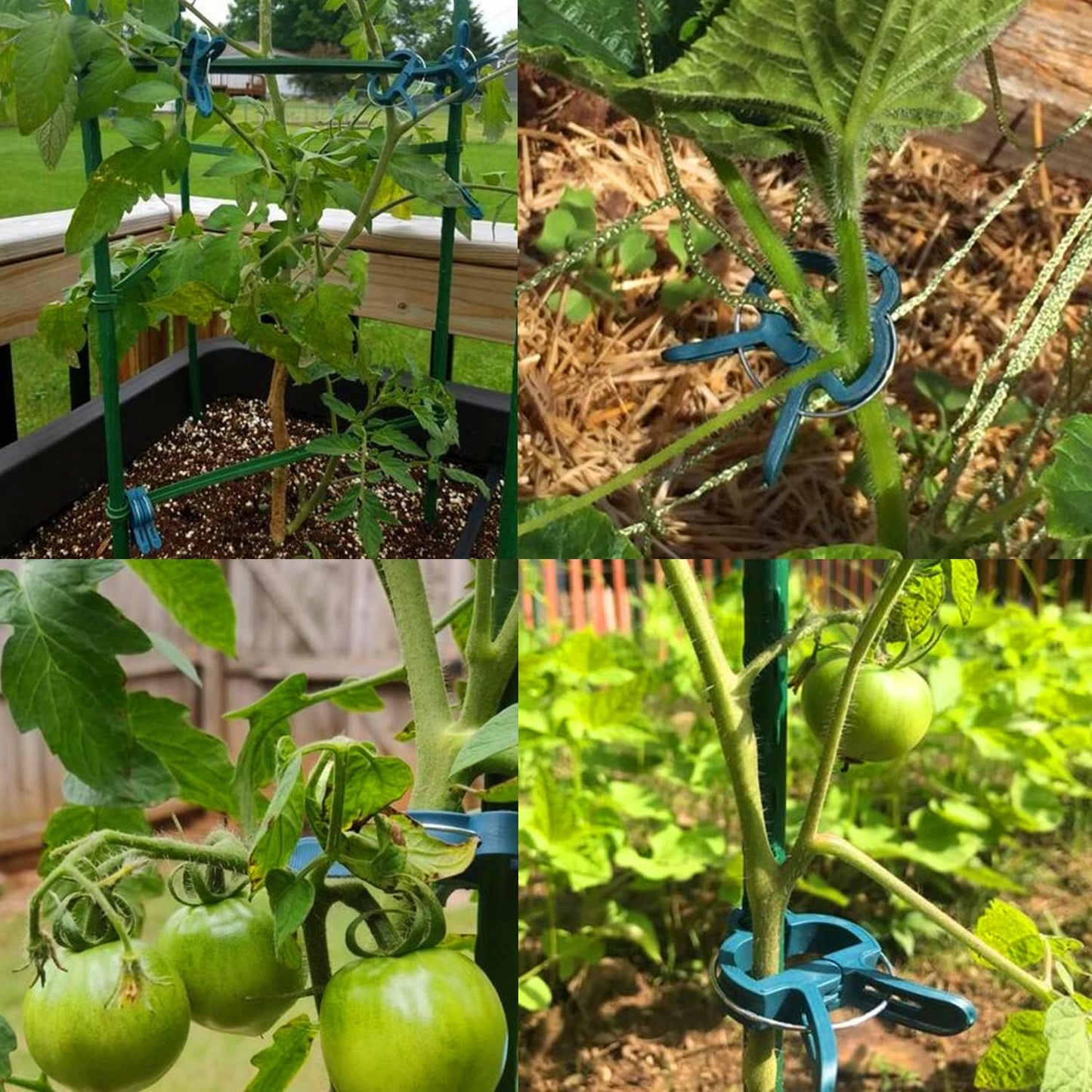 Yinghezu Plant Support Clips - 40 Pcs for Garden Tomatoes & Vines | 2 Sizes for Upright Growth