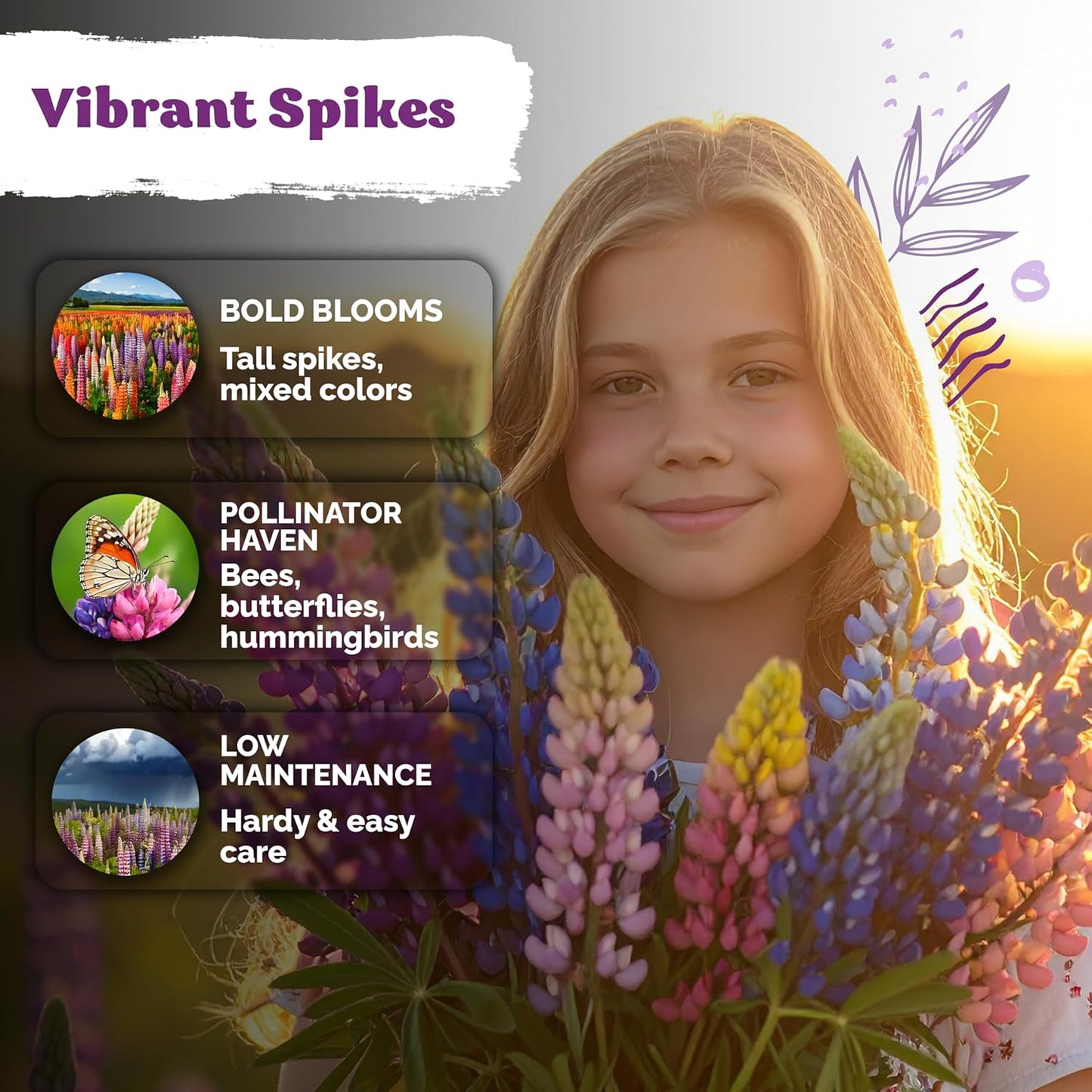 KVITER 250 Mix Russell Lupine Seeds - Heirloom Non-GMO Perennial Wildflower Seed Packets for Gardens & Meadows