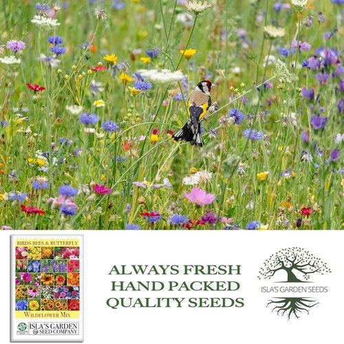 Isla’s Garden Seeds Wildflower Mix – 500+ Non-GMO Heirloom Seeds for Colorful Pollinator Gardens