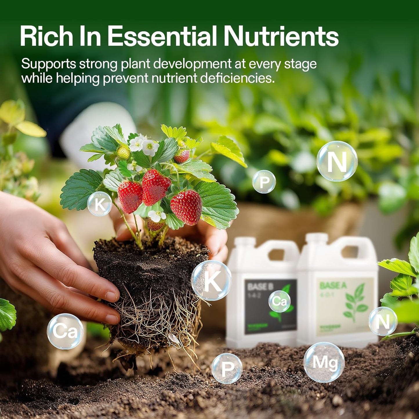 VIVOSUN Hydroponic Fertilizer Bundle - Liquid Nutrients A & B for Optimal Plant Growth | Quart Set