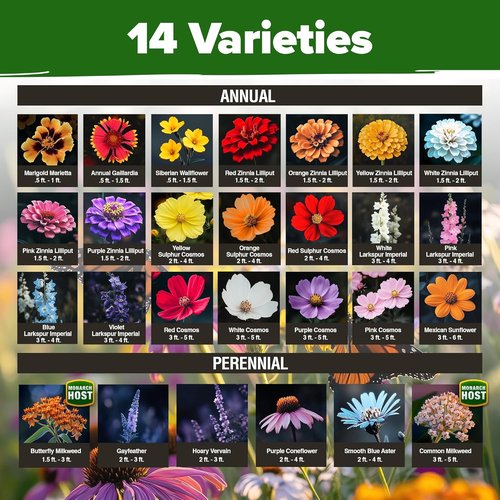 HOME GROWN Premium Monarch Butterfly Wildflower Seeds Mix - 20,000+ Non-GMO Milkweed Seeds for Pollinator Gardens | 2oz Perennial Flower Blend