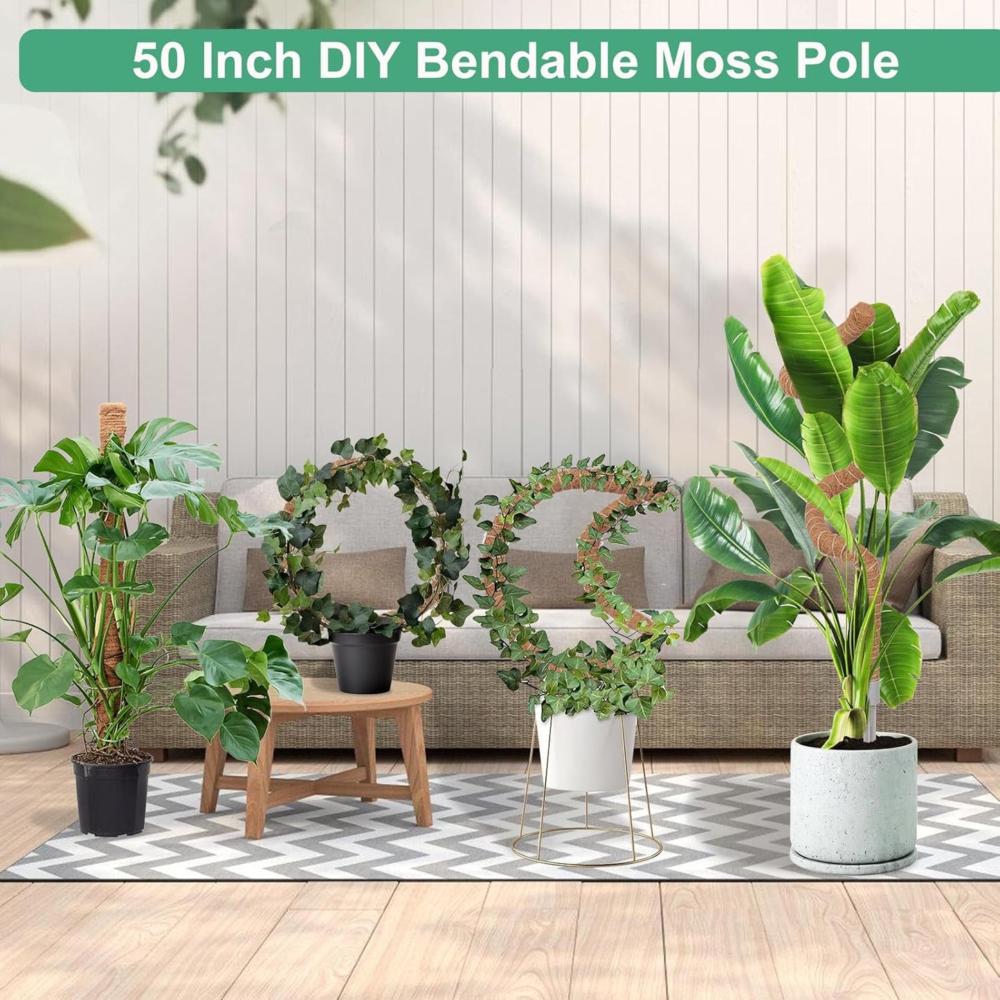 Moss Pole 3-Pack by [Brand Name] - 50 Inch Tall Support for Monstera & Climbing Plants | Coco Coir Stake Kit
