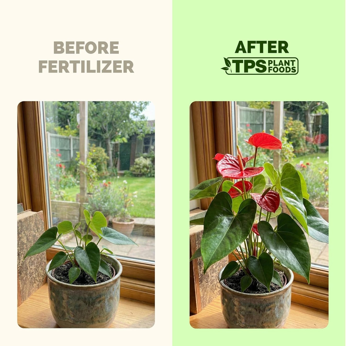 Skiennix Tropical Plant Fertilizer - Liquid Plant Food for Lush Growth & Stronger Roots, 8 oz