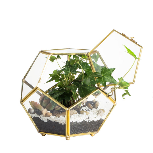 NCYP 6.89 x 6.89 x 5.9 inches Glass Geometric Terrarium Planter with Door and Foot, Pentagon Ball Shape Close Flower Pot for Fern Succulents Plants, Small, Gold (No Plants)