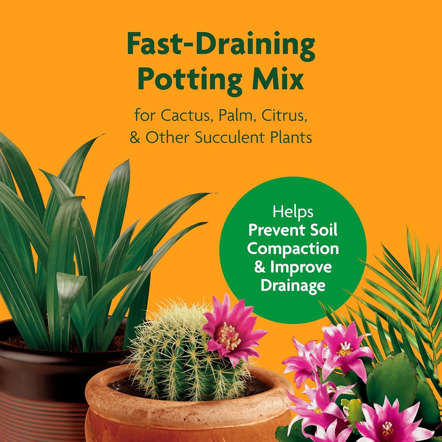 Miracle-Gro Cactus, Palm & Citrus Potting Mix - Ideal for Indoor/Outdoor Plants, 8 Qt, 2-Pack