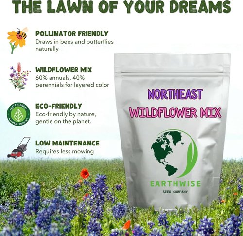 Earthwise Wildflower Seed Mix - Organic, Pollinator-Friendly Blend for Season-Long Color | Covers 500 sq ft, 1/4 lb