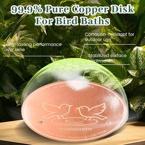 Bird Bath Copper Disk - 4 Inch 99.9% Pure Copper Disc with Triple-Point Support | All-Season Natural Water Cleaner