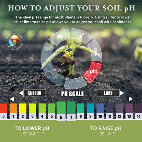 Earth Science Fast Acting Lime Granules - Instantly Raise Soil pH & Reduce Nutrient Runoff - 5lb for Vibrant Lawn Growth