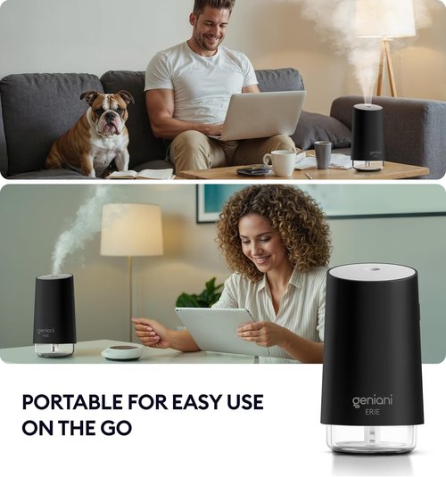 Geniani Portable Cool Mist Humidifier - USB Powered Desktop Unit with Auto Shut Off & Night Light - Black, 0.25L