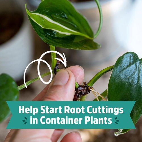 Back to The Roots 100% Organic Perlite - Premium Plant Nutrition for Indoor & Outdoor Use