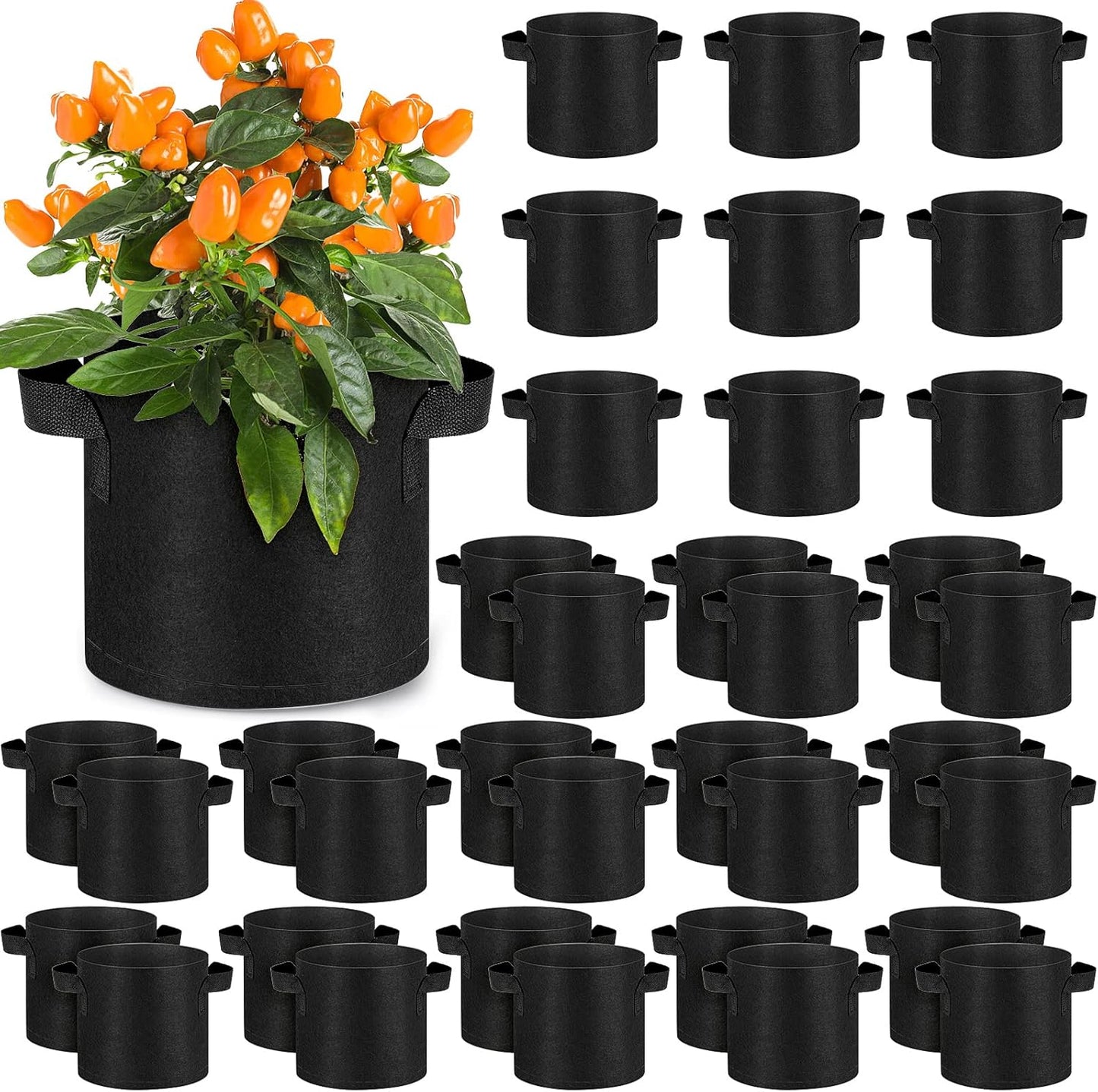 Nuanchu Grow Bags - 36 Packs of Heavy-Duty Aeration Fabric Pots with Handles for Healthy Root Growth | 2 Gallon
