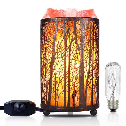 Himalayan Pink Salt Lamp, Natural Salt Rock Lamp with Retro Forest Basket and Dimmer Switch, Romantic Night Light Plug in, Decor Desk Lamp