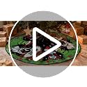 Christmas Tree Skirt 48 Inch New Year Xmas Decorations for Home
