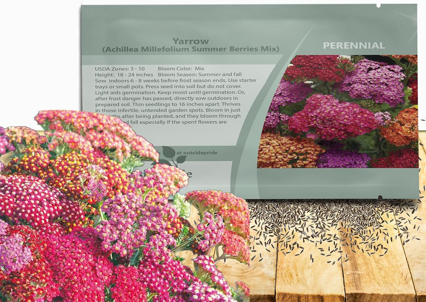 Outsidepride Summer Berries Mix Yarrow Seeds - 1000 Pcs | Perennial, Drought-Tolerant Flower Seeds for Vibrant Blooms