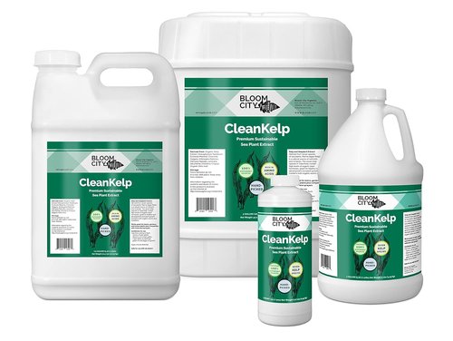 Bloom City Seaweed & Kelp Fertilizer - Liquid Supplement for Stronger Roots & Faster Growth | 8 oz