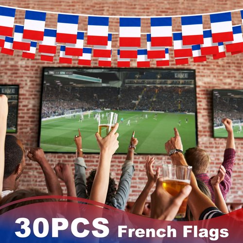 France String Flag Pennant Banner, Small Mini French Flags Bunting Banner, 14th of July French Bastille Day National Country Decoration for School, Party, Sports Events, Festival, 33 Feet 30 Flags