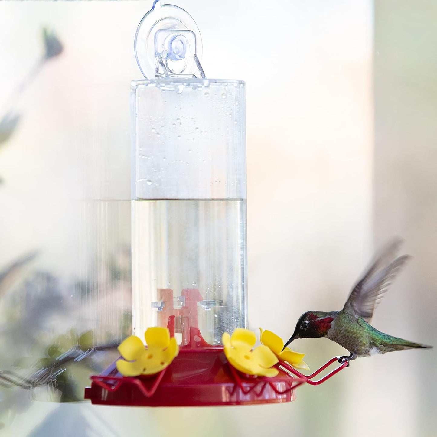 Perky-Pet Hummingbird Feeder - 8 oz Plastic Window Mount with Perches for Outdoor Use