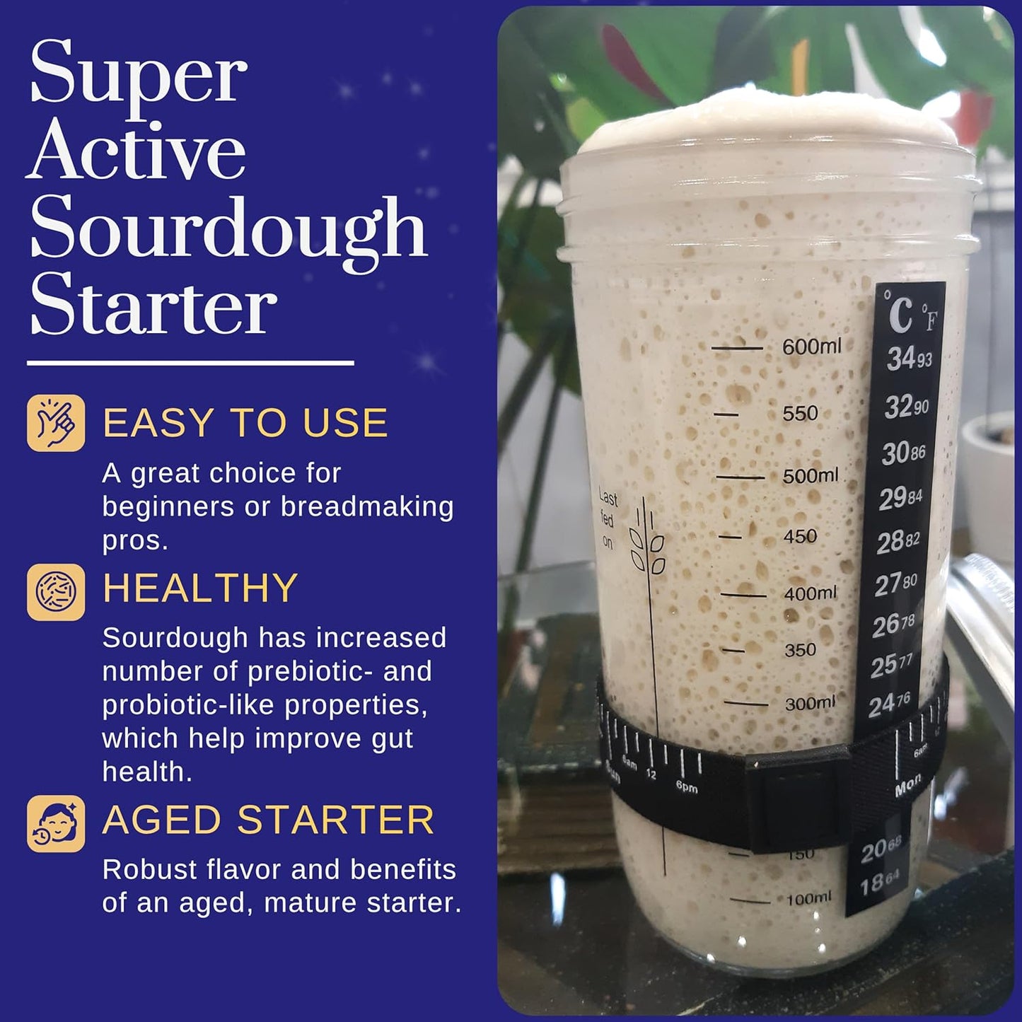 Captain Sourpants San Francisco Sourdough Starter Culture - 100+ Year Old Heirloom Kit for Bread, Pizza & More | Easy Instructions Included