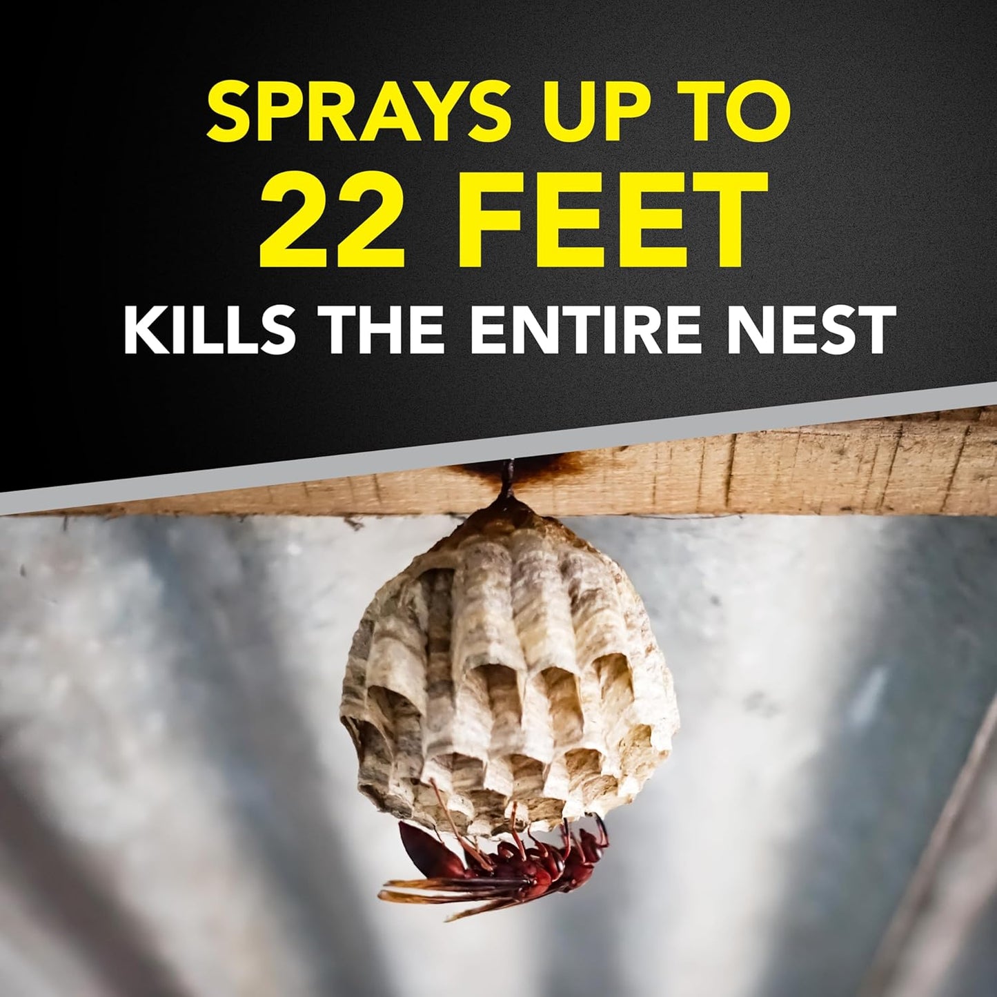 Raid Wasp & Hornet Killer Spray - Effectively Eliminates Entire Nests | 14 Oz, 2 Count