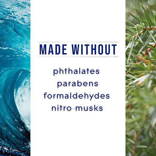 Glade 3-Wick Scented Candle Jar - Sea Mist & Cypress | Essential Oil Infused Air Freshener, 6.8 Oz, 3 Count