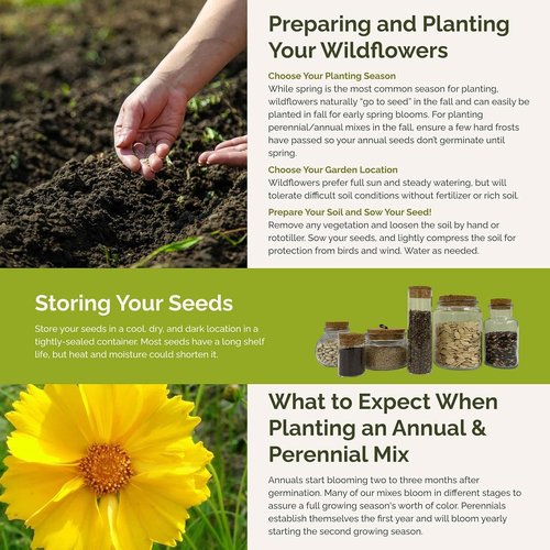 Eden Brothers Wildflower Mixed Seeds - Attract Pollinators | 1/4 lb, 120,000+ Seeds, Plant in Spring or Fall