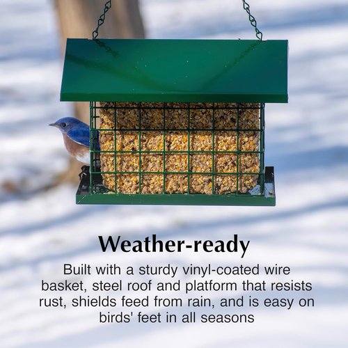 C&S EZ Fill Deluxe Suet Feeder - Roof & Platform Design for Wild Birds | Holds 56 Ounce Suet Cake