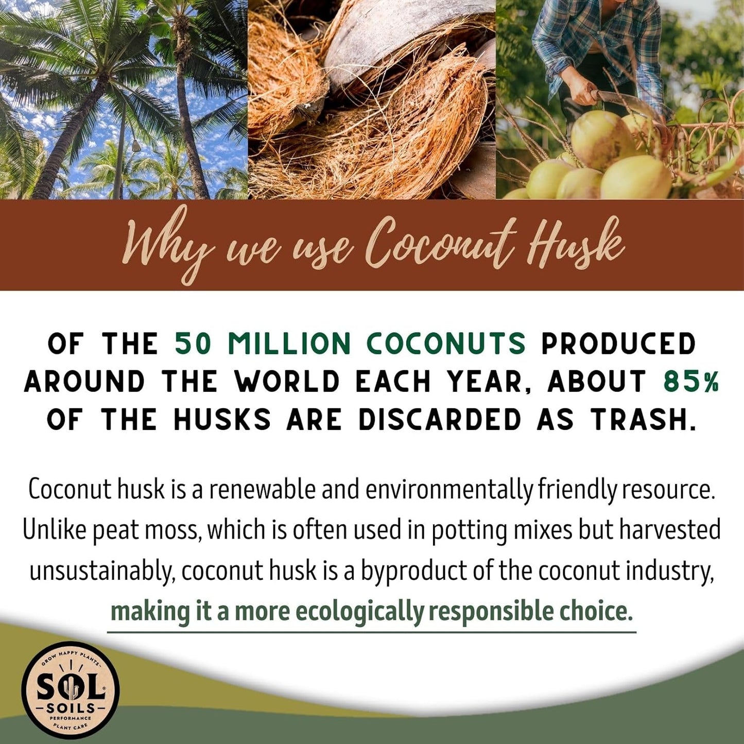 Sol Soils Chunky Houseplant Mix - Fast Draining Indoor Plant Soil with Coco Coir, Perlite & Pumice | 2 Quart