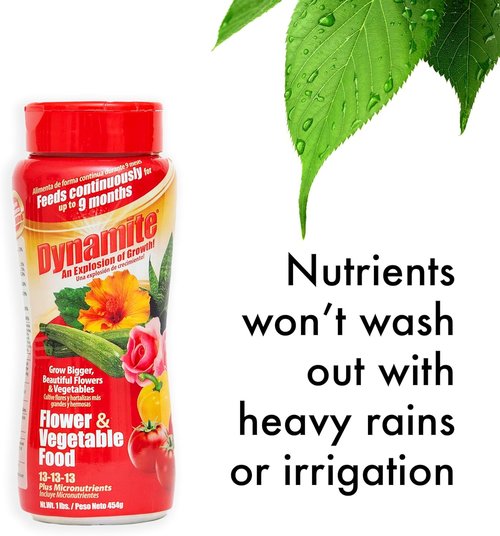Dynamite Complete Plant Food - Premium Flower & Vegetable Nutrients | 1 lb Bag