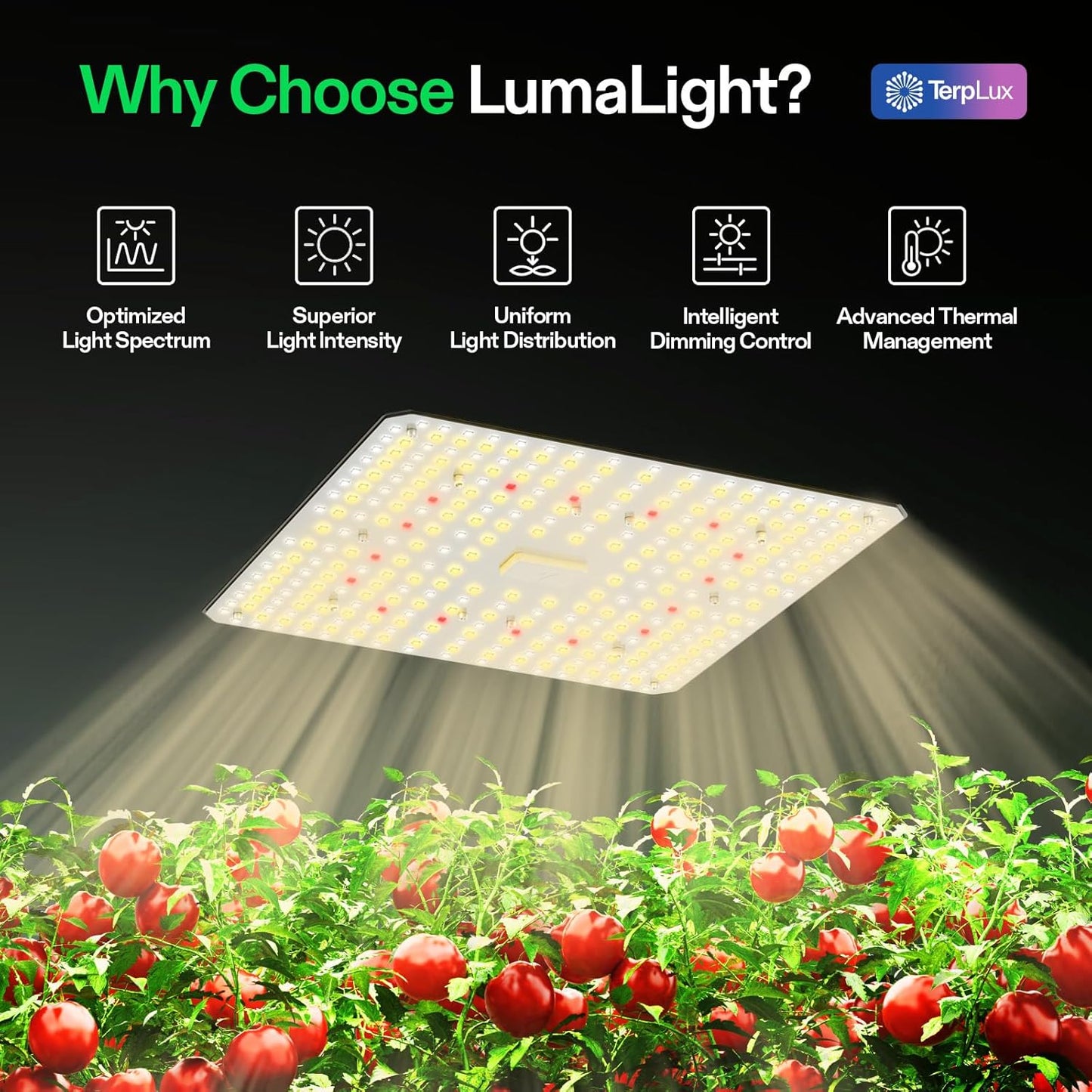VIVOSUN LumaLight 100W LED Grow Light - Full Spectrum, Smart Dimmable, Ideal for Indoor Plants & Seedlings | Fits 2x2/2x4 Tents