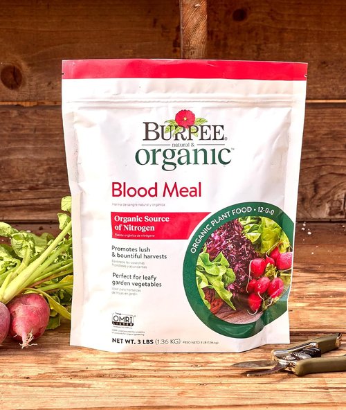 Burpee Organic Blood Meal Fertilizer - Natural Nitrogen Source for Tomatoes & Leafy Greens | 3 lb, 1-Pack
