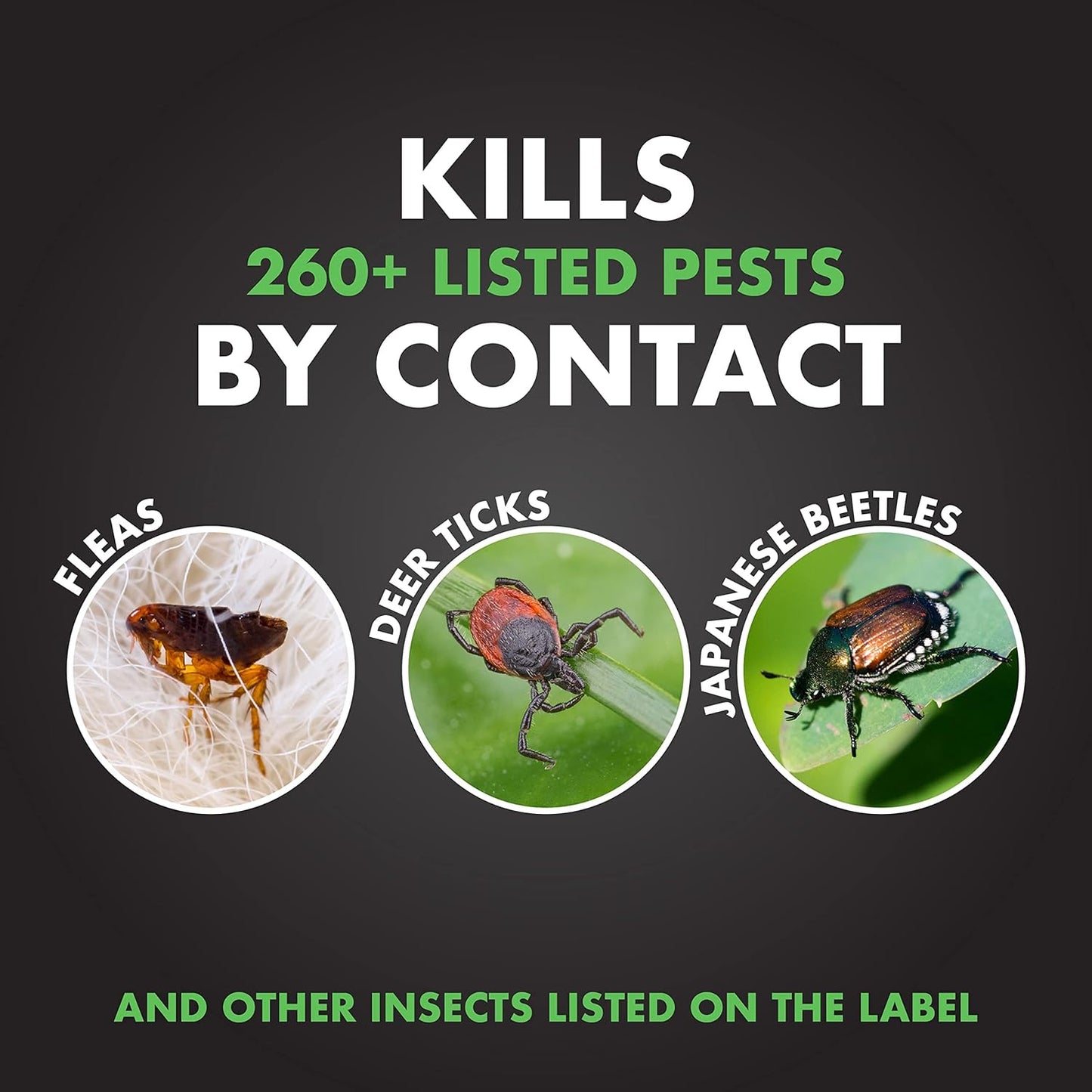 Spectracide Triazicide Insect Killer - Effective Lawn & Landscape Treatment | 40 Ounces