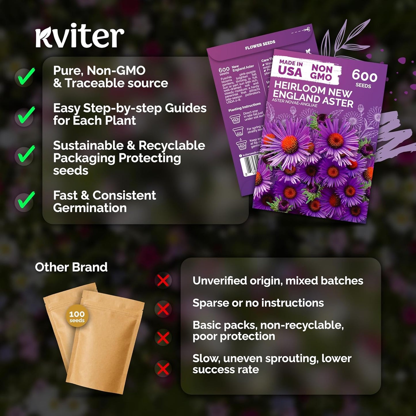 KVITER 600 New England Aster Seeds - Purple Aster Wildflower Seed Packets for Perennial Gardens
