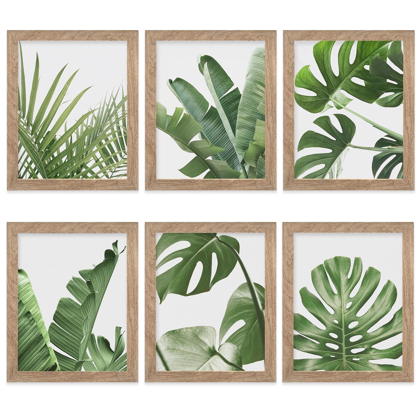 HoozGee Framed Botanical Wall Art Prints Set of 6 Tropical Leaves Plant Leaf Canvas Print Wall Decor Green Wall Art Posters Bedroom Living Room Decor (Tropical Leaf Art, 11"x14" FRAMED)