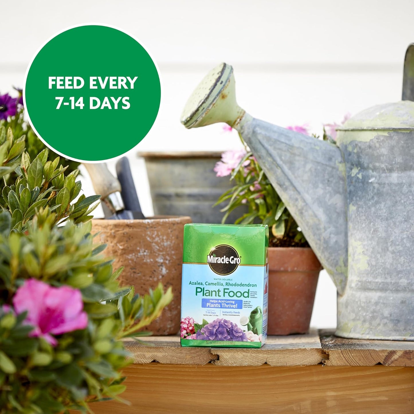 Miracle-Gro Plant Food - Water Soluble Formula for Azaleas, Camellias & Rhododendrons | 1.5 lb