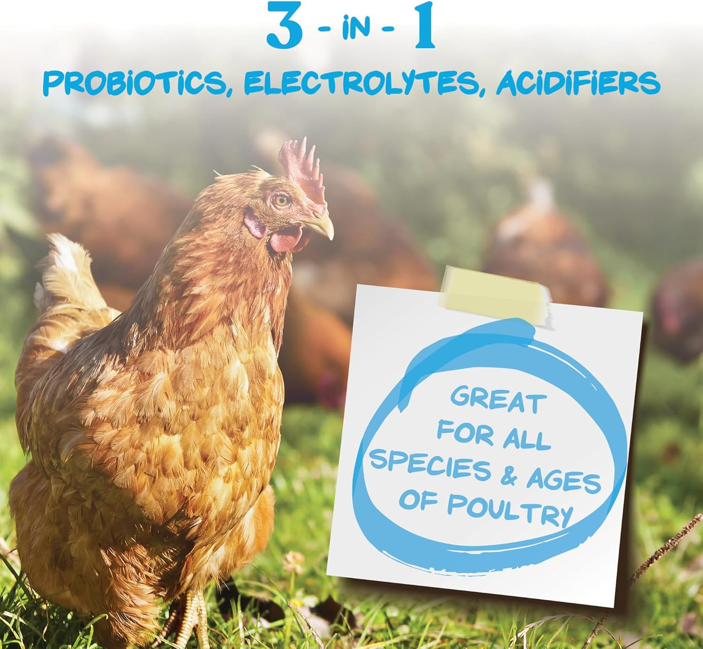Manna Pro Hydro-Hen Poultry Electrolyte & Probiotic Supplement - Hydration Support for Chickens & Ducks | 20 oz