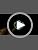 Decaf Caffè Verona Ground Coffee - Dark Roast, 6 Pack of 12 oz Bags
