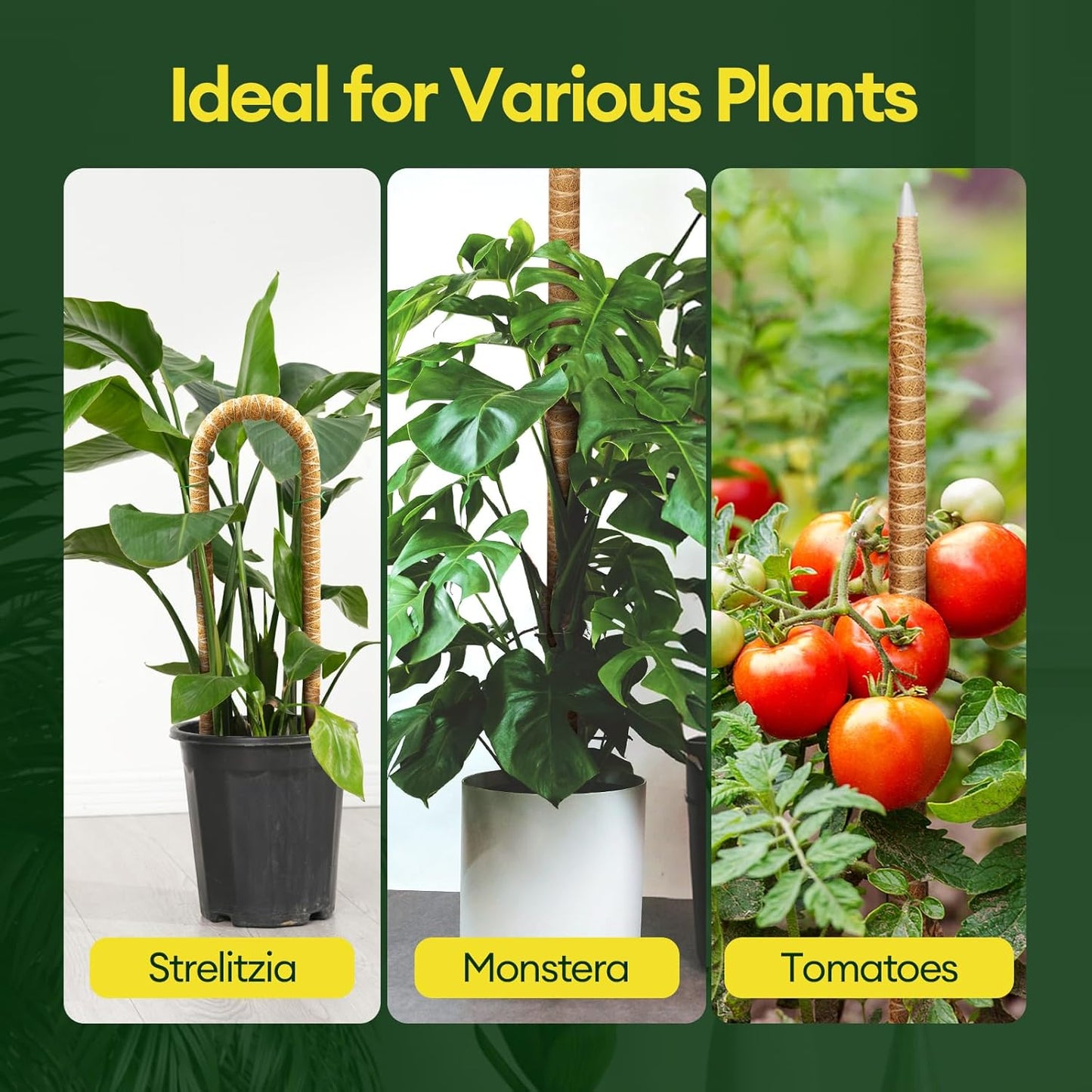 Maygrove 28” Bendable Moss Pole | 3-Pack Plant Support for Monstera & Climbing Indoor Plants